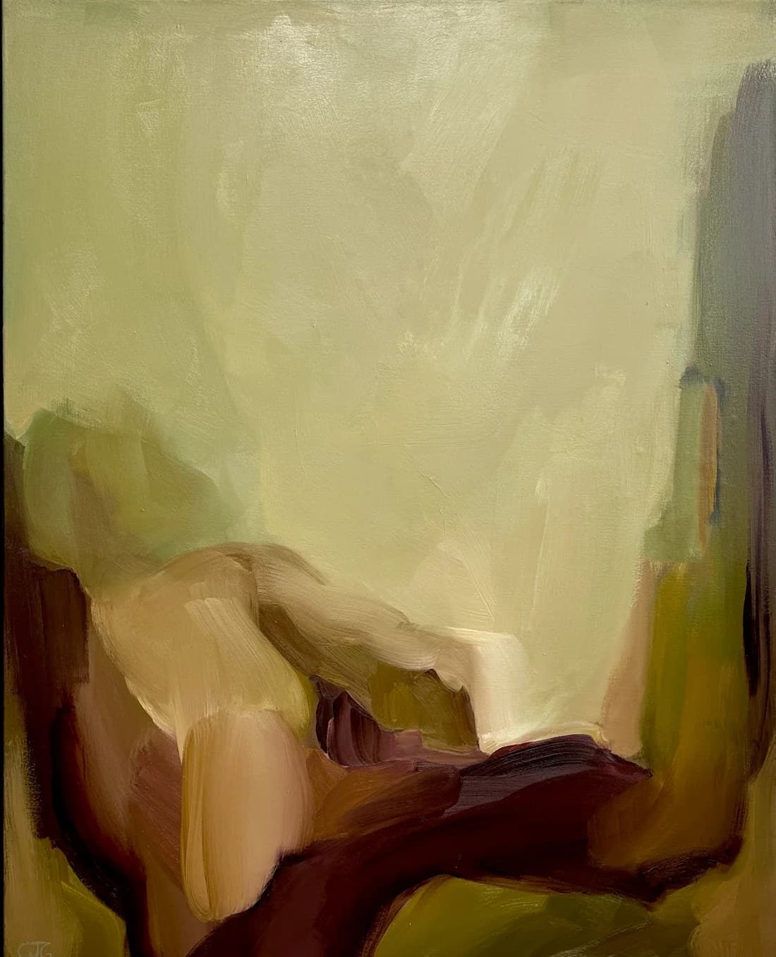 Curtain by Carrie Jean Goldsmith